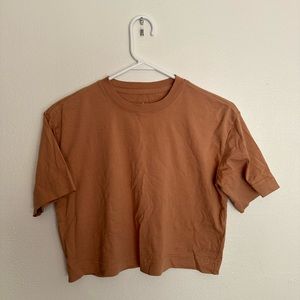 Dusty Rose/Tan Everlane Crop Top